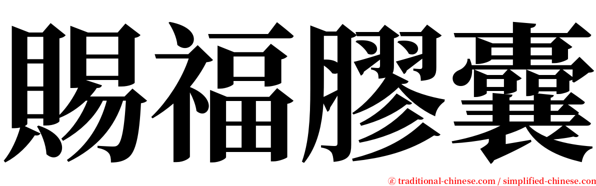 賜福膠囊 serif font