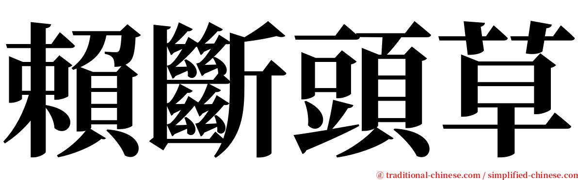 賴斷頭草 serif font