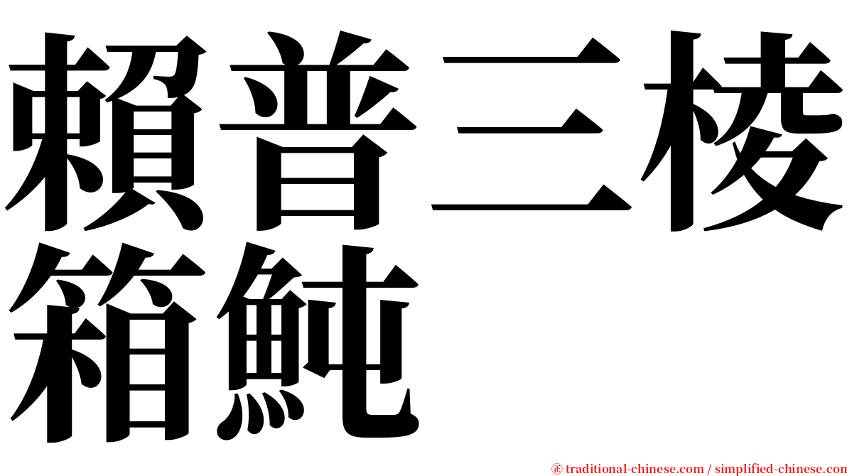 賴普三棱箱魨 serif font