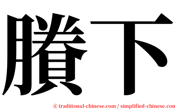 賸下 serif font