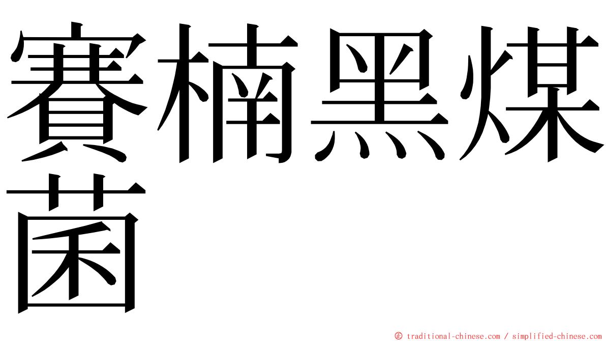 賽楠黑煤菌 ming font