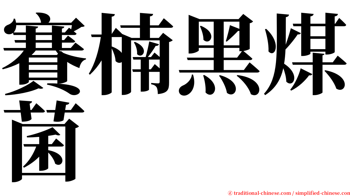 賽楠黑煤菌 serif font