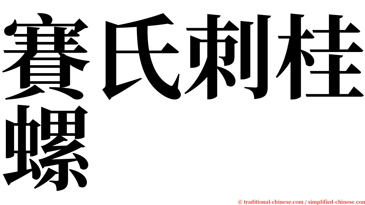 賽氏刺桂螺 serif font