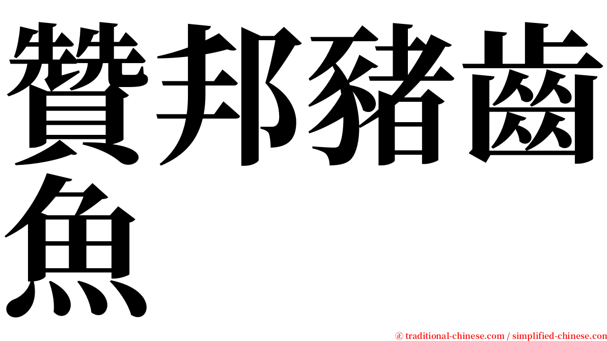 贊邦豬齒魚 serif font