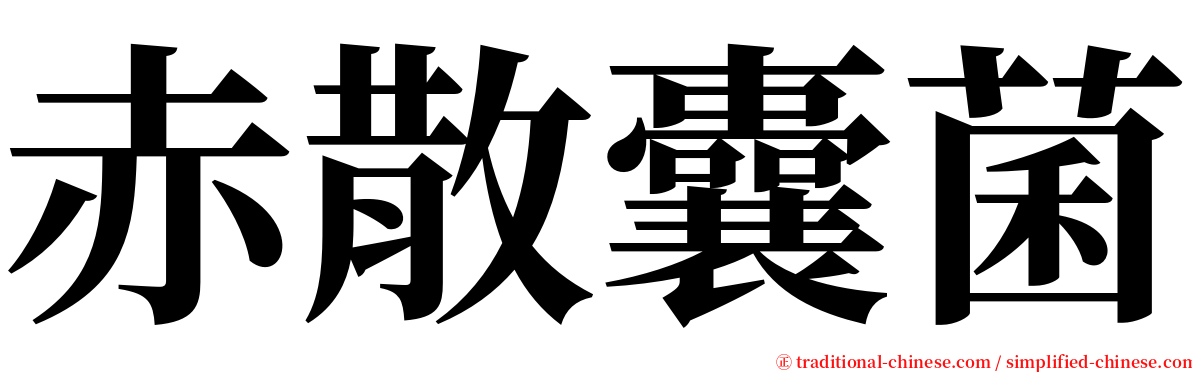 赤散囊菌 serif font
