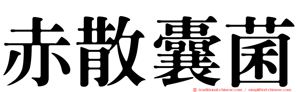 赤散囊菌