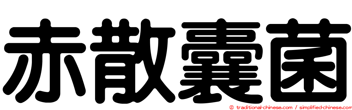 赤散囊菌