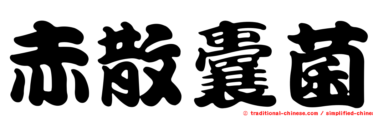 赤散囊菌