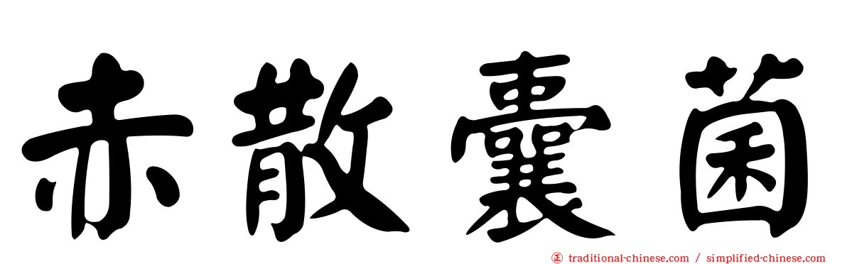 赤散囊菌