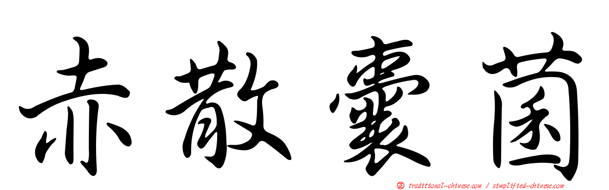 赤散囊菌