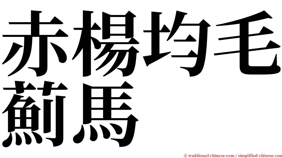 赤楊均毛薊馬 serif font