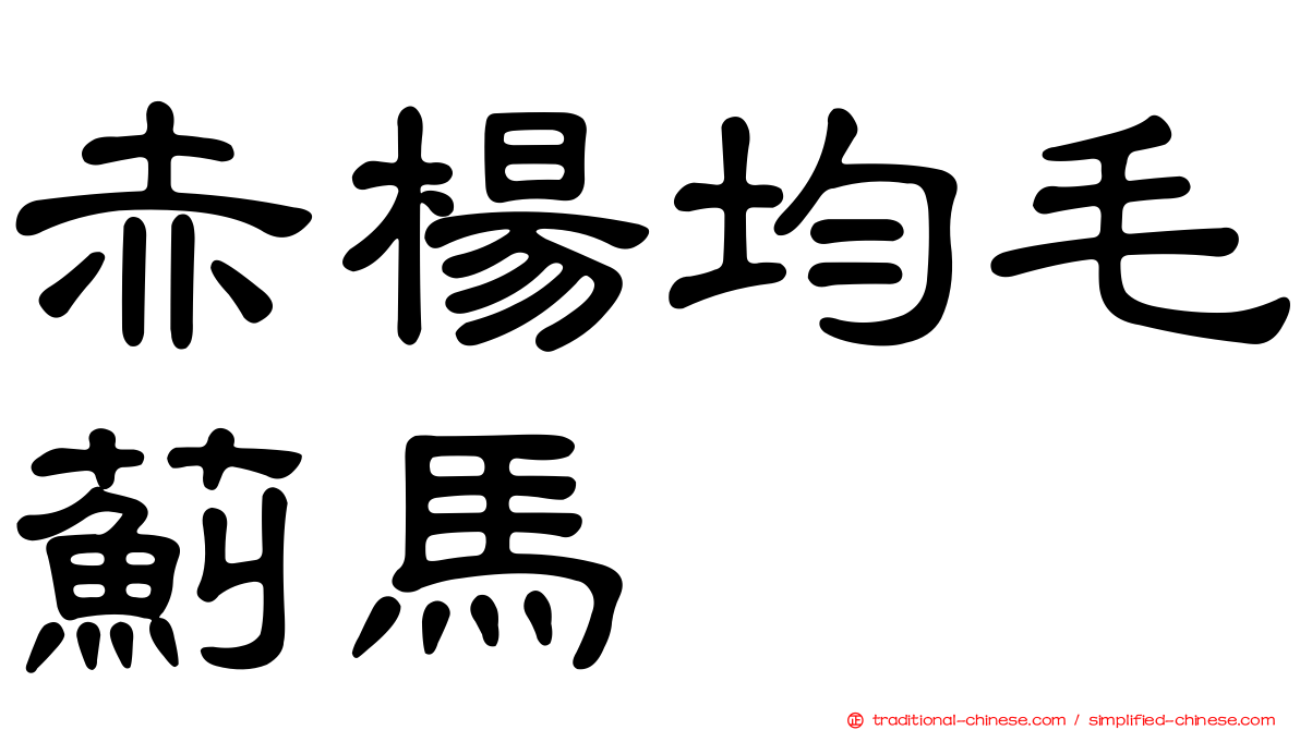 赤楊均毛薊馬