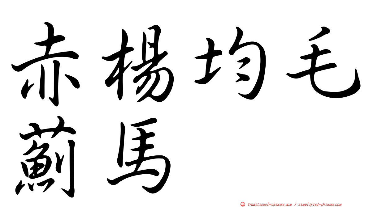 赤楊均毛薊馬