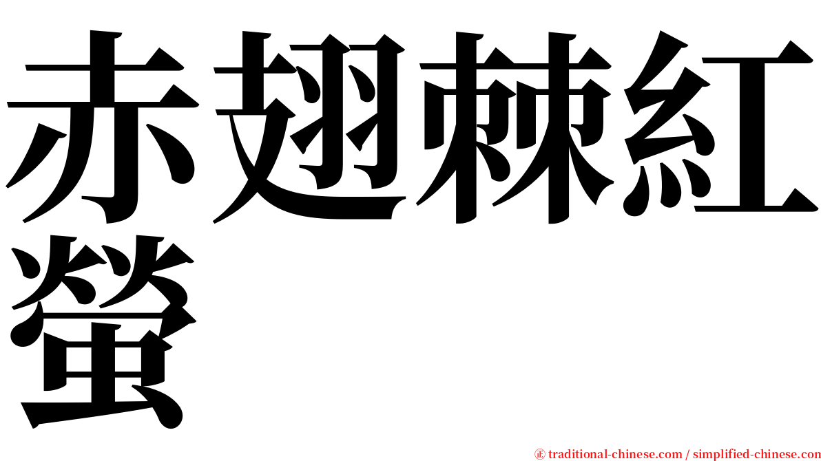 赤翅棘紅螢 serif font