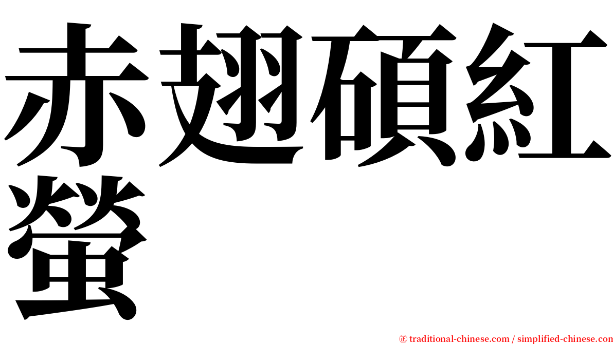 赤翅碩紅螢 serif font