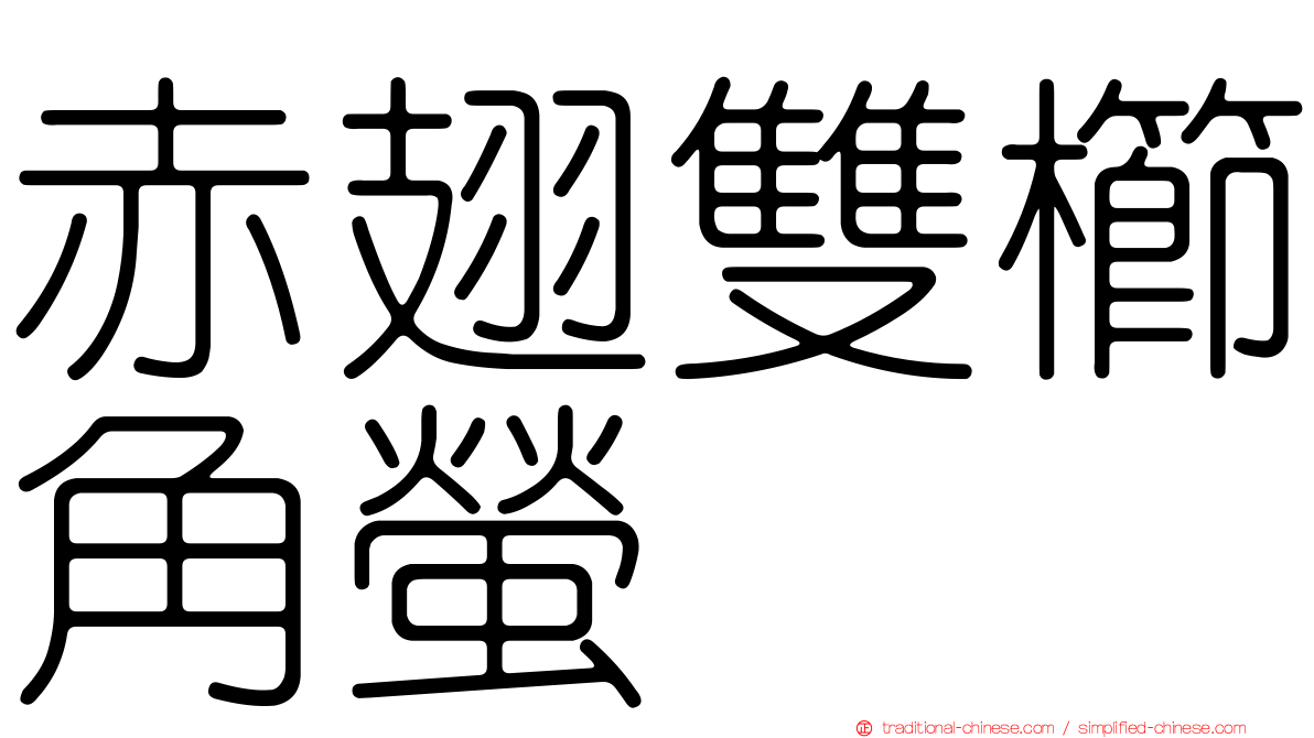 赤翅雙櫛角螢