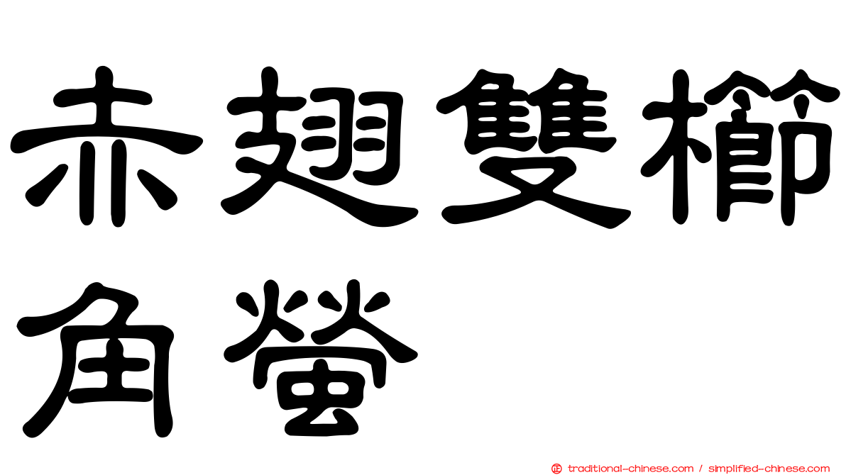 赤翅雙櫛角螢