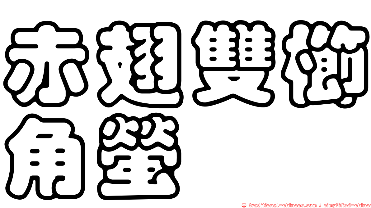 赤翅雙櫛角螢