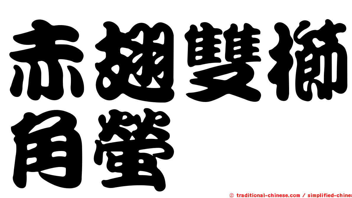 赤翅雙櫛角螢