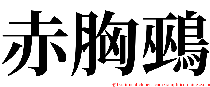 赤胸鵐 serif font