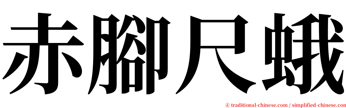 赤腳尺蛾 serif font