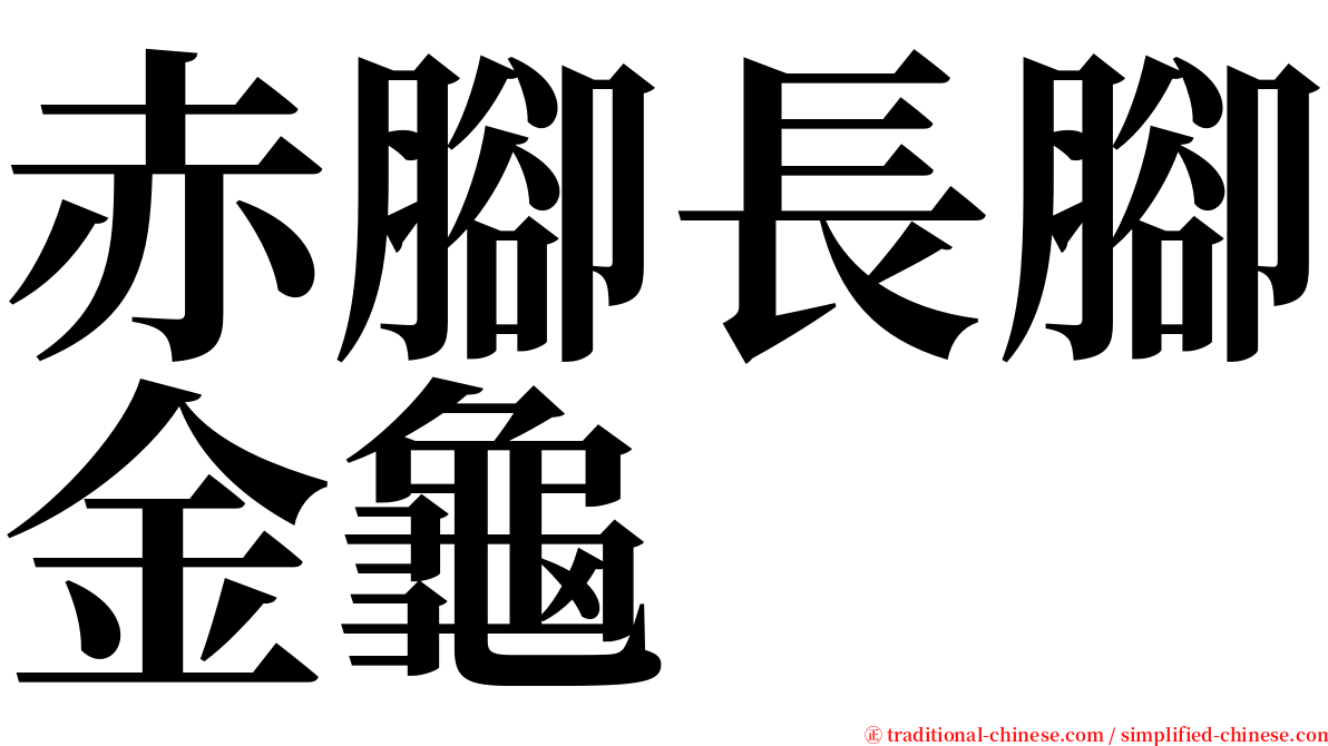 赤腳長腳金龜 serif font