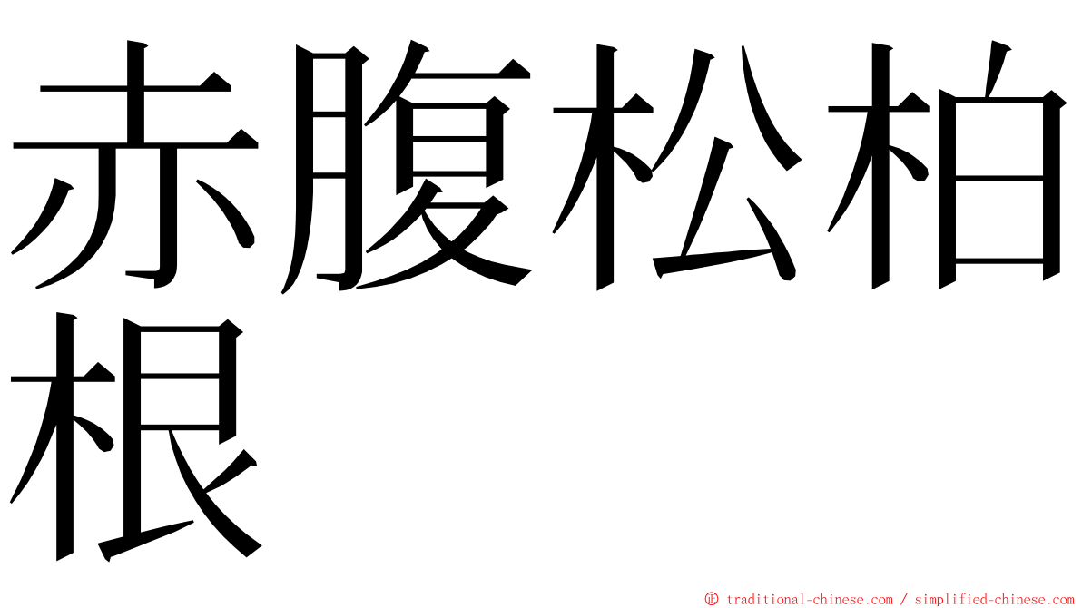 赤腹松柏根 ming font