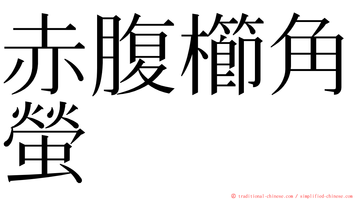 赤腹櫛角螢 ming font