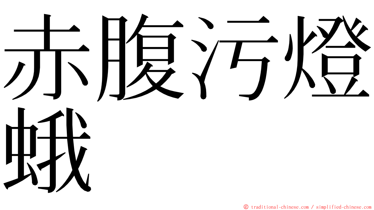 赤腹污燈蛾 ming font