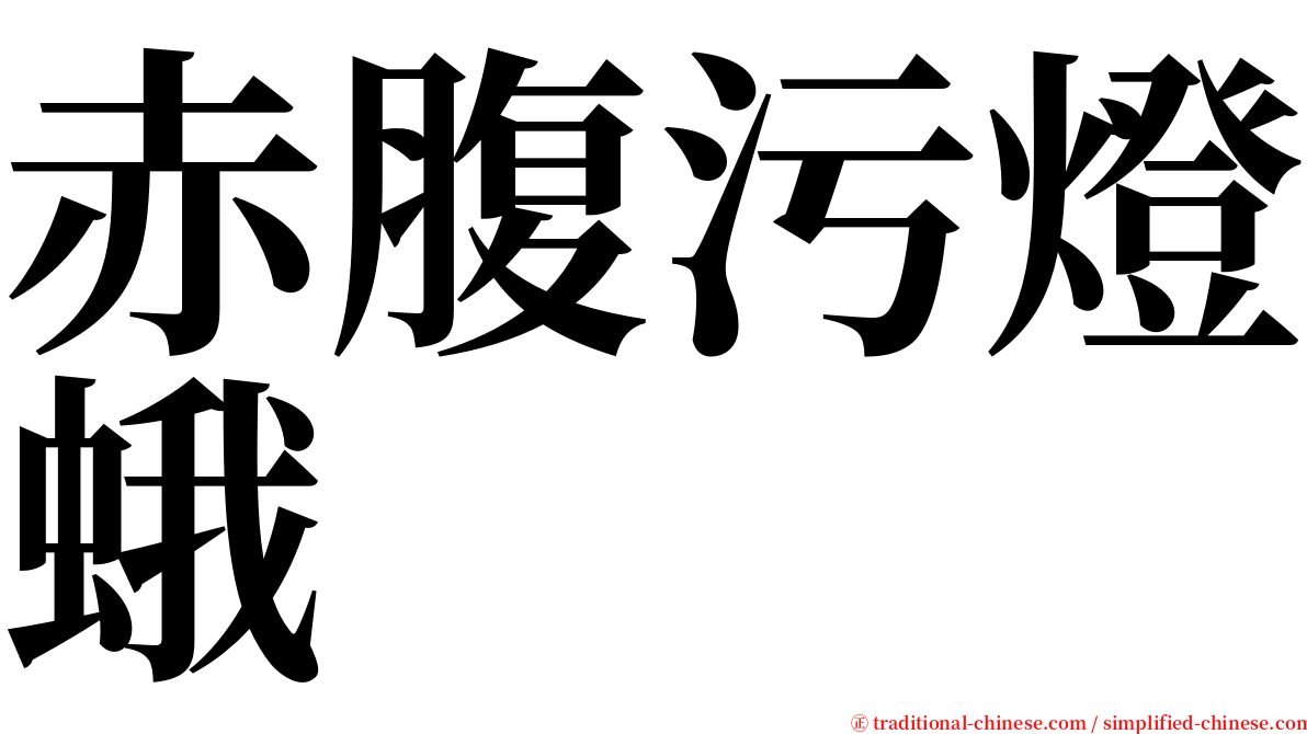 赤腹污燈蛾 serif font