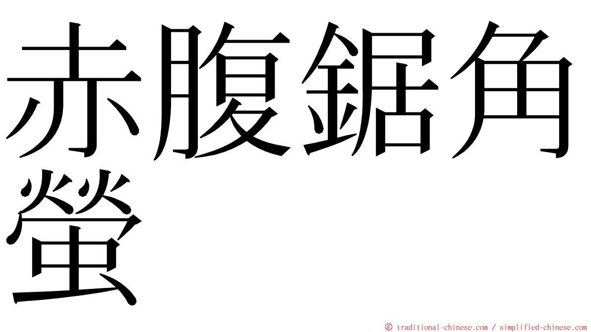 赤腹鋸角螢 ming font