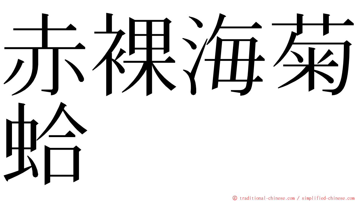 赤裸海菊蛤 ming font