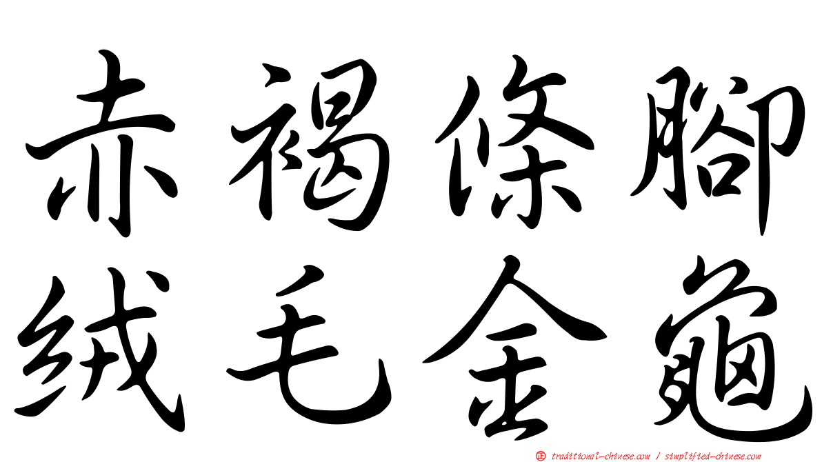 赤褐條腳絨毛金龜