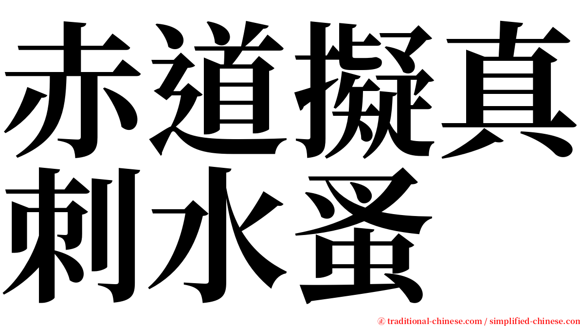 赤道擬真刺水蚤 serif font