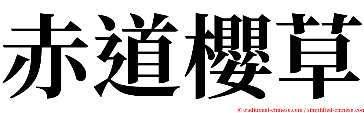 赤道櫻草 serif font