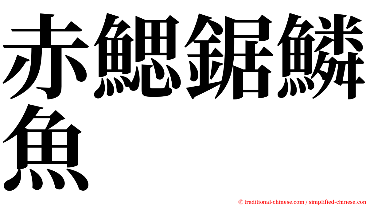 赤鰓鋸鱗魚 serif font