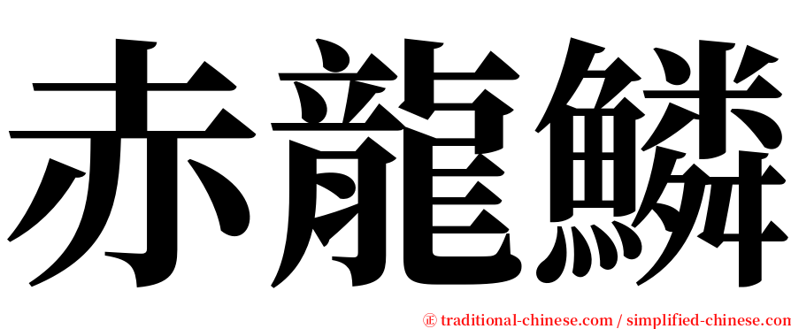 赤龍鱗 serif font