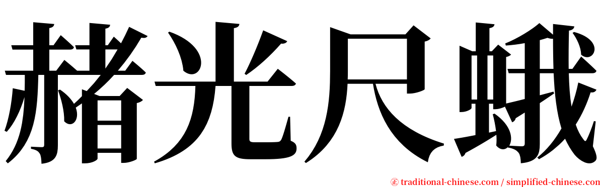 赭光尺蛾 serif font