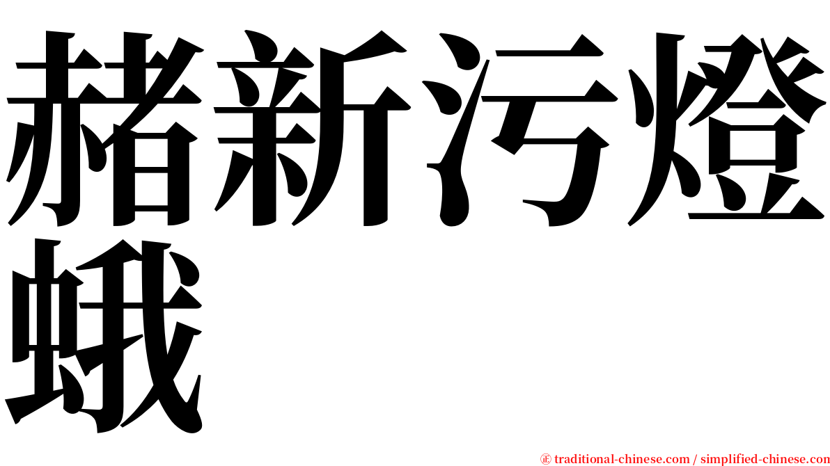 赭新污燈蛾 serif font