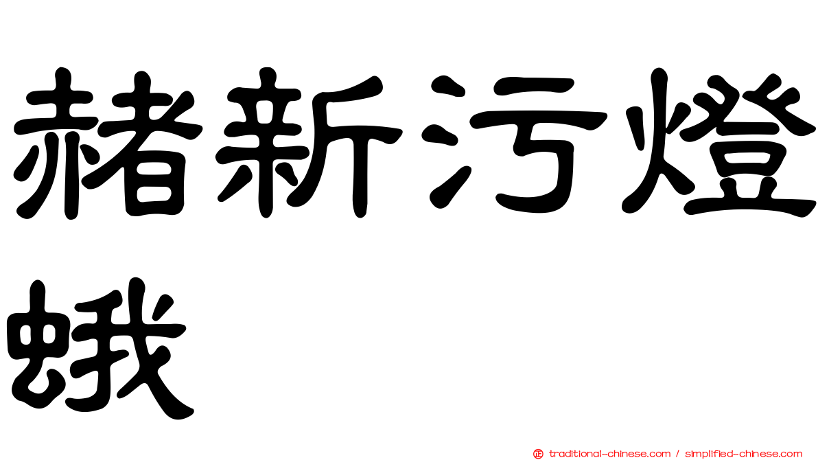 赭新污燈蛾