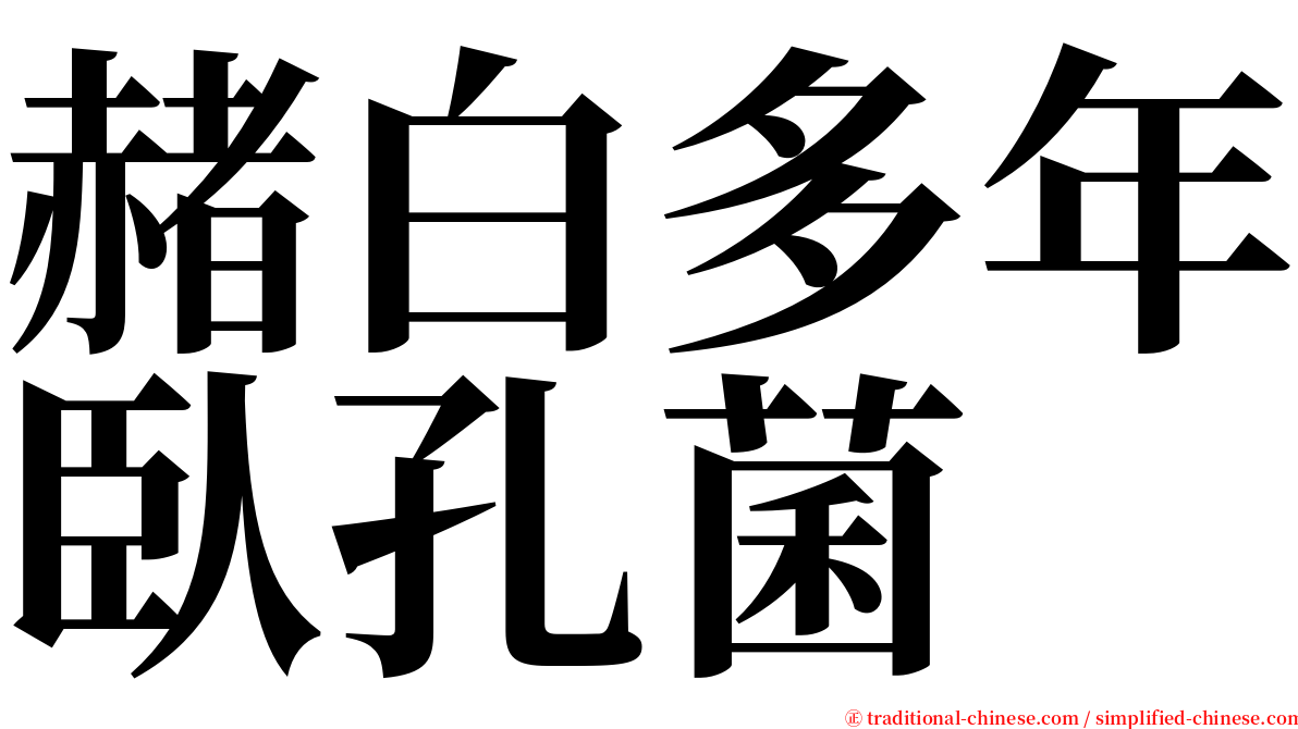 赭白多年臥孔菌 serif font