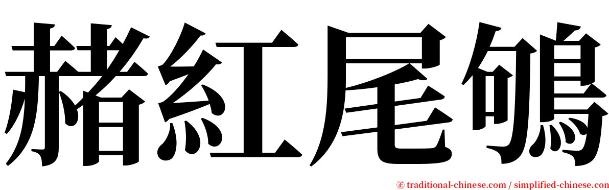 赭紅尾鴝 serif font