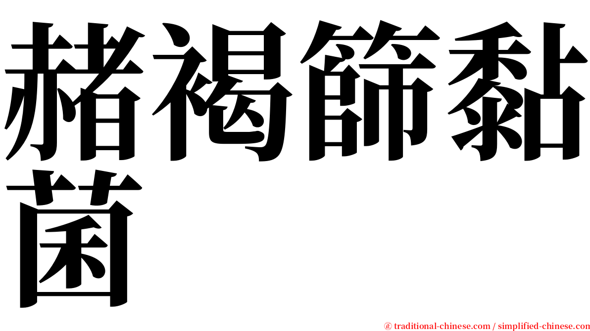 赭褐篩黏菌 serif font