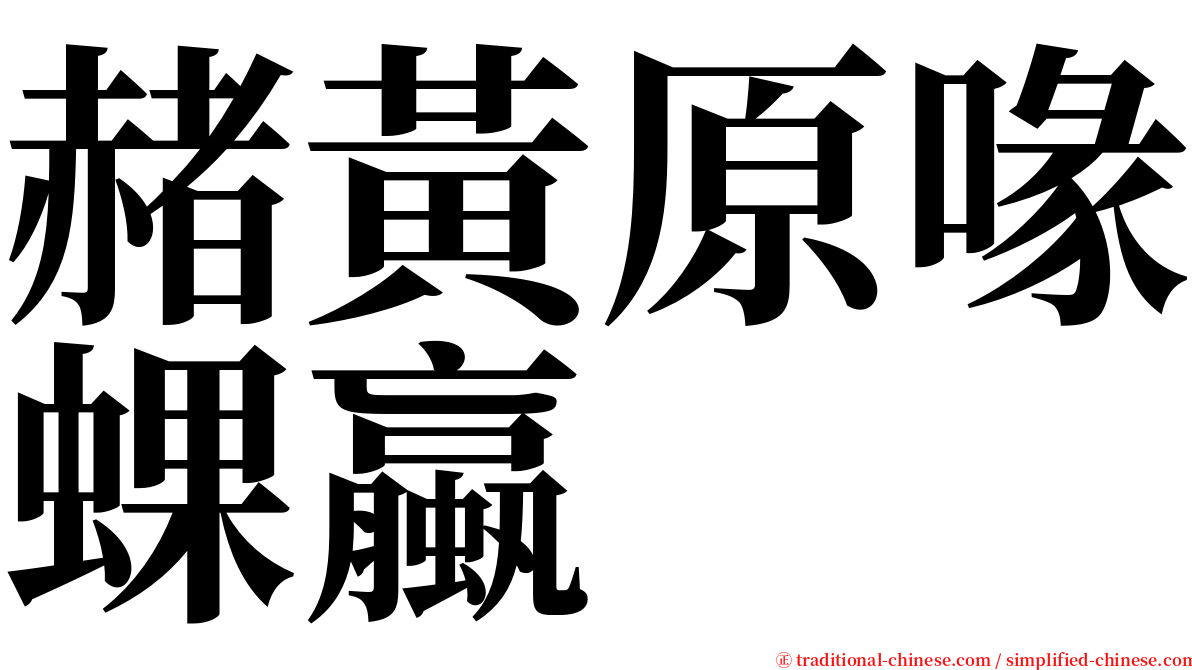 赭黃原喙蜾蠃 serif font