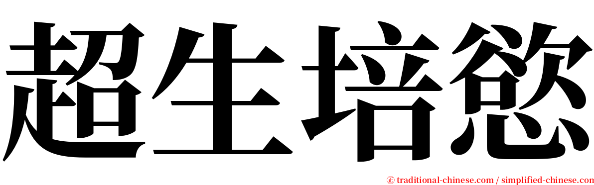 超生培慾 serif font