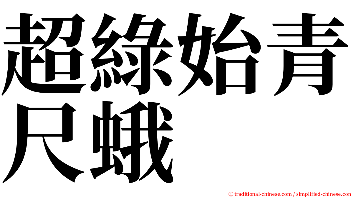 超綠始青尺蛾 serif font