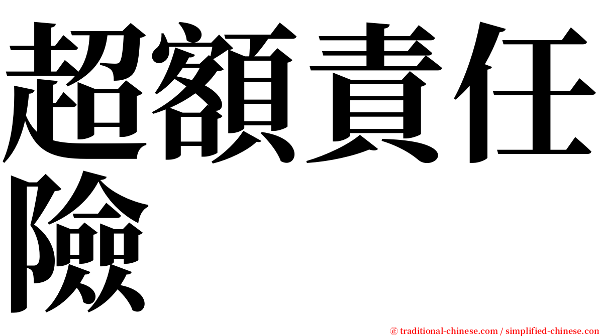 超額責任險 serif font