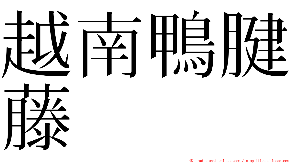 越南鴨腱藤 ming font