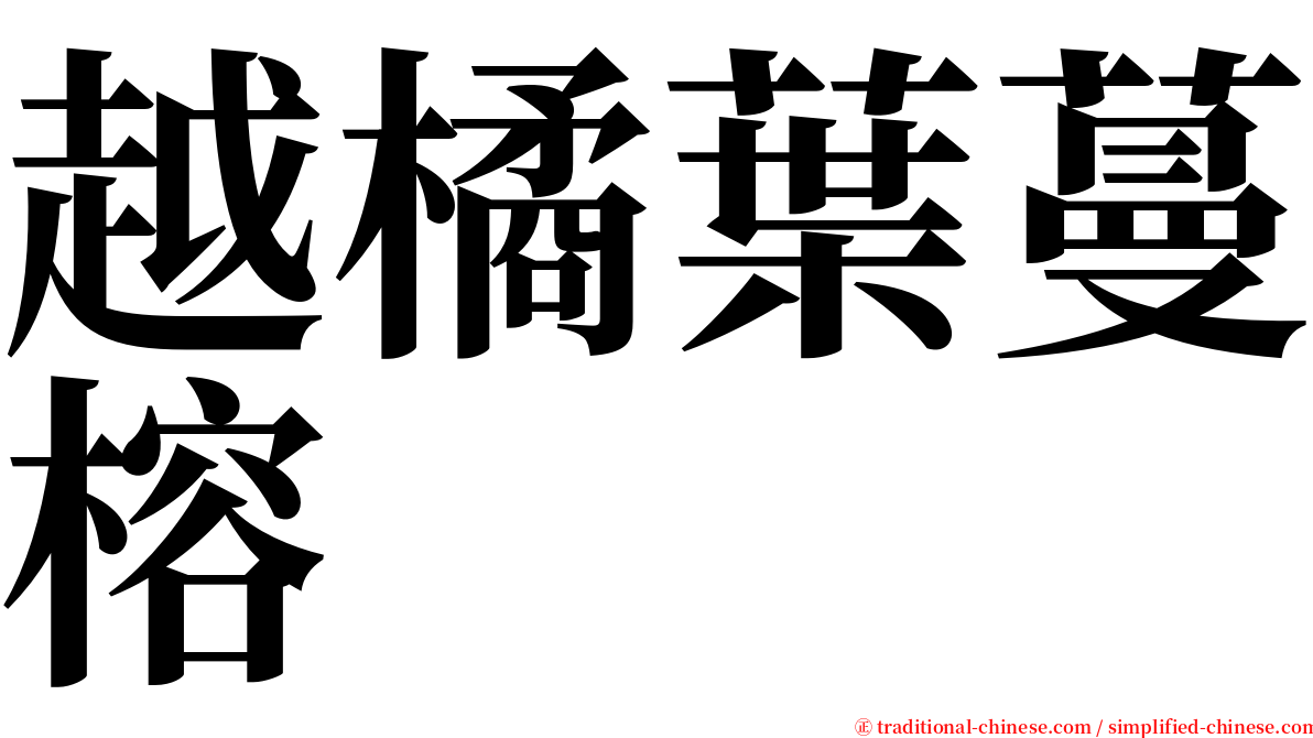 越橘葉蔓榕 serif font