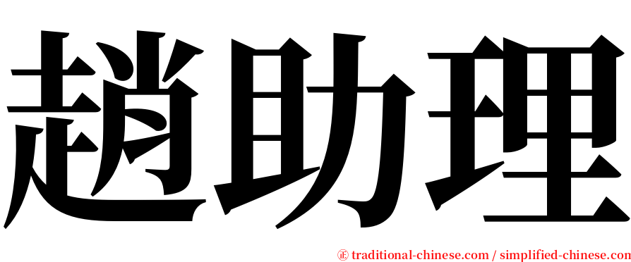 趙助理 serif font